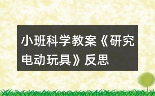 小班科學(xué)教案《研究電動玩具》反思