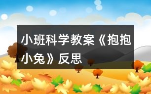 小班科學教案《抱抱小兔》反思