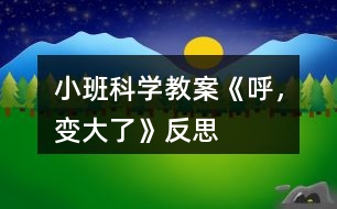 小班科學(xué)教案《呼，變大了》反思