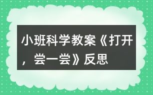 小班科學(xué)教案《打開，嘗一嘗》反思