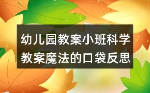 幼兒園教案小班科學教案魔法的口袋反思