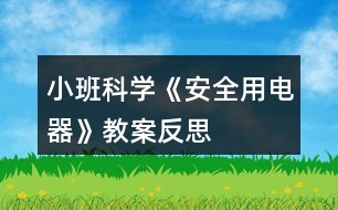 小班科學《安全用電器》教案反思