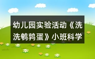 幼兒園實(shí)驗(yàn)活動(dòng)《洗洗鵪鶉蛋》小班科學(xué)教案