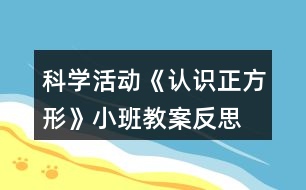 科學(xué)活動(dòng)《認(rèn)識(shí)正方形》小班教案反思