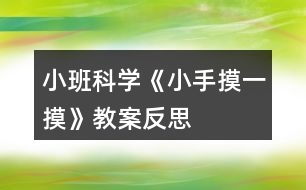 小班科學《小手摸一摸》教案反思