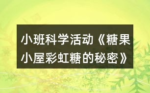 小班科學(xué)活動《糖果小屋彩虹糖的秘密》教學(xué)設(shè)計(jì)反思