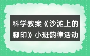 科學(xué)教案《沙灘上的腳印》小班韻律活動(dòng)誰(shuí)的腳印反思