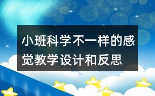 小班科學(xué)不一樣的感覺教學(xué)設(shè)計(jì)和反思