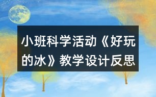 小班科學(xué)活動《好玩的冰》教學(xué)設(shè)計反思