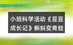 小班科學(xué)活動(dòng)《豆豆成長記》蝌蚪變青蛙故事腳本