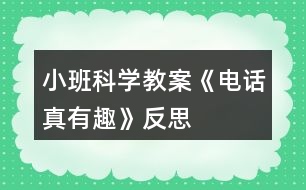 小班科學(xué)教案《電話真有趣》反思