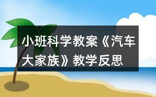 小班科學(xué)教案《汽車大家族》教學(xué)反思