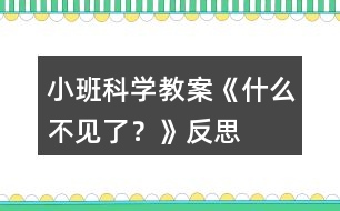 小班科學教案《什么不見了？》反思