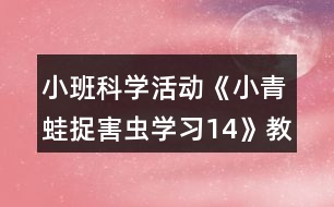 小班科學(xué)活動《小青蛙捉害蟲學(xué)習(xí)14》教學(xué)設(shè)計(jì)反思