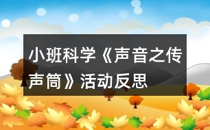 小班科學《聲音之傳聲筒》活動反思