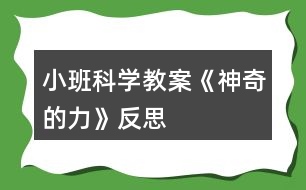 小班科學(xué)教案《神奇的力》反思