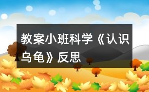 教案小班科學(xué)《認(rèn)識(shí)烏龜》反思