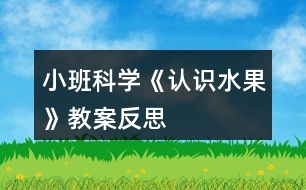 小班科學(xué)《認識水果》教案反思