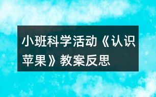 小班科學(xué)活動(dòng)《認(rèn)識(shí)蘋果》教案反思