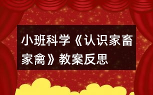 小班科學(xué)《認識家畜家禽》教案反思