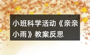 小班科學活動《親親小雨》教案反思