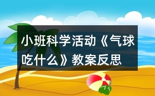 小班科學(xué)活動《氣球吃什么》教案反思