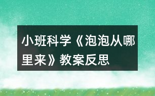 小班科學《泡泡從哪里來》教案反思