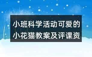 小班科學(xué)活動可愛的小花貓教案及評課資料