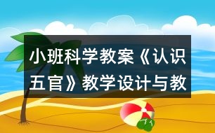 小班科學教案《認識五官》教學設計與教學反思