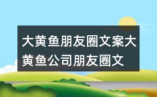 大黃魚朋友圈文案、大黃魚公司朋友圈文案32句