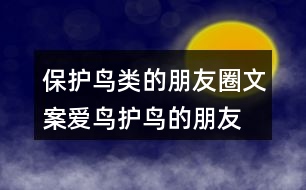 保護(hù)鳥類的朋友圈文案、愛鳥護(hù)鳥的朋友圈文案36句