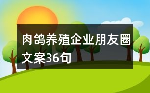 肉鴿養(yǎng)殖企業(yè)朋友圈文案36句