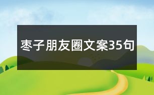 棗子朋友圈文案35句