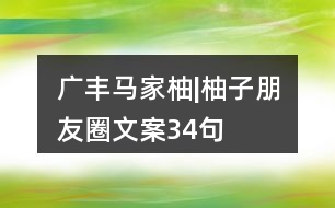 廣豐馬家柚|柚子朋友圈文案34句