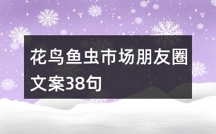 花鳥魚蟲市場(chǎng)朋友圈文案38句