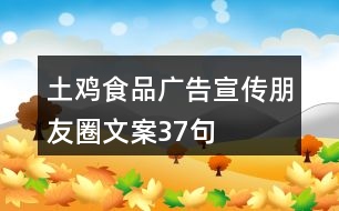 土雞食品廣告宣傳朋友圈文案37句