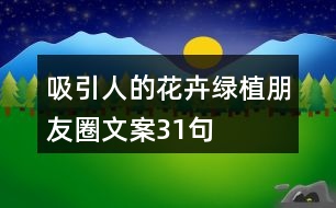 吸引人的花卉綠植朋友圈文案31句