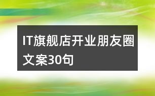 IT旗艦店開業(yè)朋友圈文案30句