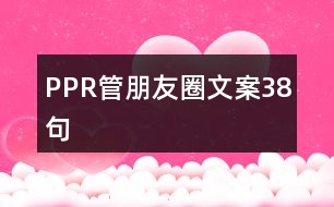 PPR管朋友圈文案38句