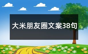 大米朋友圈文案38句