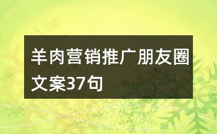 羊肉營(yíng)銷推廣朋友圈文案37句