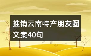 推銷(xiāo)云南特產(chǎn)朋友圈文案40句