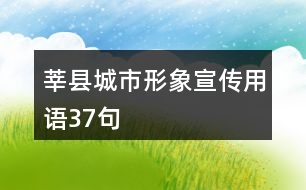 莘縣城市形象宣傳用語(yǔ)37句