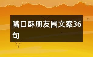 嘴口酥朋友圈文案36句