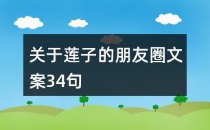 關于蓮子的朋友圈文案34句