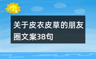 關于皮衣皮草的朋友圈文案38句