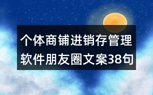 個體商鋪進銷存管理軟件朋友圈文案38句