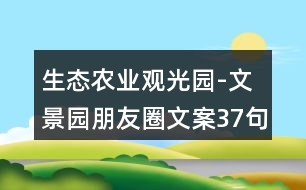 生態(tài)農(nóng)業(yè)觀光園-文景園朋友圈文案37句