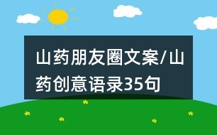 山藥朋友圈文案/山藥創(chuàng)意語錄35句