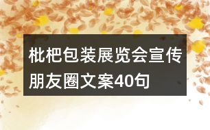 枇杷包裝、展覽會宣傳朋友圈文案40句